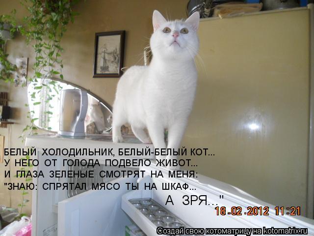 БЕЛЫЙ ХОЛОДИЛЬНИК, БЕЛЫЙ-БЕЛЫЙ КОТ... У НЕГО ОТ ГОЛОДА ПОДВЕЛО ЖИВОТ... И ГЛАЗА ЗЕЛЕНЫЕ СМОТ... Котоматрица: БЕЛЫЙ ХОЛОДИЛЬНИК, БЕЛЫЙ-БЕЛЫЙ КОТ... У НЕГО ОТ ГОЛОДА ПОДВЕЛО ЖИВОТ... И ГЛАЗА ЗЕЛЕНЫЕ СМОТРЯТ НА МЕНЯ: "ЗНАЮ: СПРЯТАЛ МЯСО ТЫ НА ШКА