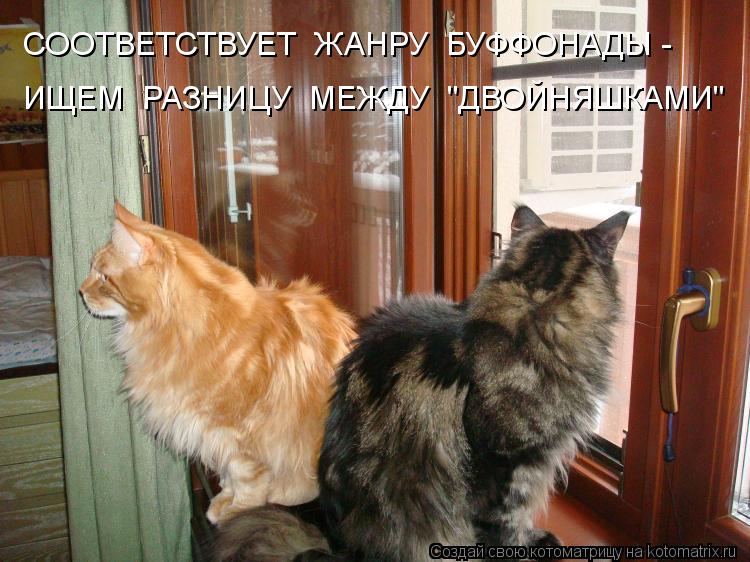 СООТВЕТСТВУЕТ ЖАНРУ БУФФОНАДЫ - ИЩЕМ РАЗНИЦУ МЕЖДУ "ДВОЙНЯШКАМИ"... Котоматрица: СООТВЕТСТВУЕТ ЖАНРУ БУФФОНАДЫ - ИЩЕМ РАЗНИЦУ МЕЖДУ "ДВОЙНЯШКАМИ"