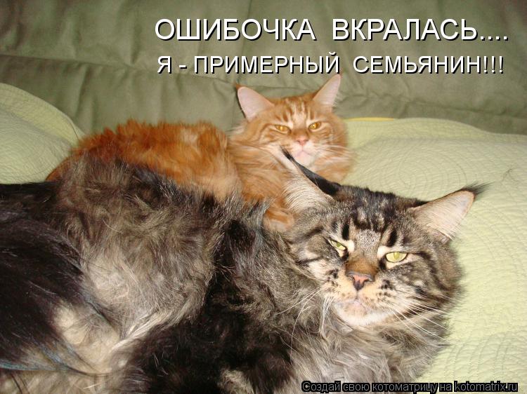ОШИБОЧКА ВКРАЛАСЬ.... Я - ПРИМЕРНЫЙ СЕМЬЯНИН!!!... Котоматрица: ОШИБОЧКА ВКРАЛАСЬ.... Я - ПРИМЕРНЫЙ СЕМЬЯНИН!!!