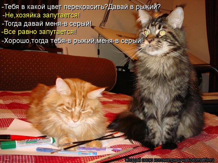 -Тебя в какой цвет перекрасить?Давай в рыжий? -Не,хозяйка запутается! -Тогда давай меня-в серый! -Все... Котоматрица: -Тебя в какой цвет перекрасить?Давай в рыжий? -Не,хозяйка запутается! -Тогда давай меня-в серый! -Все равно запутается! -Хорошо,тогда тебя-в ры