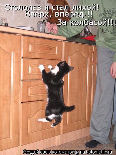 Стололаз я стал лихой! Вверх, вперед!!! За колбасой!!!... Котоматрица: Стололаз я стал лихой! Вверх, вперед!!! За колбасой!!!