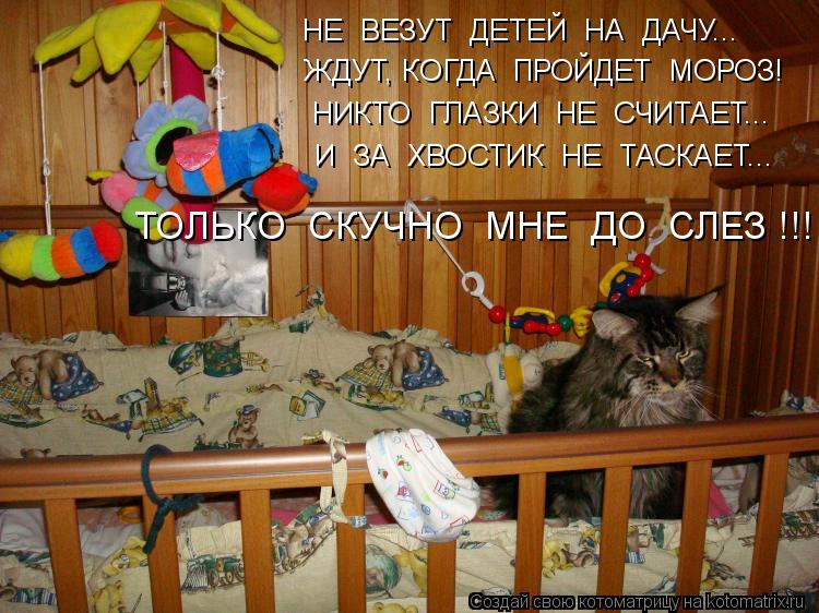 ЖДУТ, КОГДА ПРОЙДЕТ МОРОЗ! НЕ ВЕЗУТ ДЕТЕЙ НА ДАЧУ... НИКТО ГЛАЗКИ НЕ СЧИТАЕТ... И ЗА ХВОСТ... Котоматрица: ЖДУТ, КОГДА ПРОЙДЕТ МОРОЗ! НЕ ВЕЗУТ ДЕТЕЙ НА ДАЧУ... НИКТО ГЛАЗКИ НЕ СЧИТАЕТ... И ЗА ХВОСТИК НЕ ТАСКАЕТ... ТОЛЬКО СКУЧНО МНЕ ДО СЛЕЗ