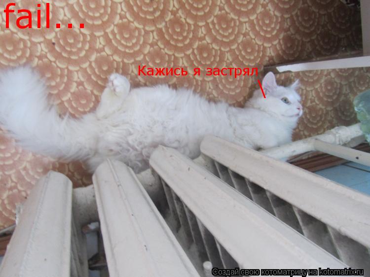 fail... Кажись я застрял \... Котоматрица: fail... Кажись я застрял \