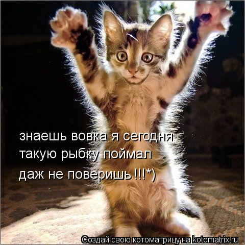 знаешь вовка я сегодня такую рыбку поймал даж не поверишь !!!*)... Котоматрица: знаешь вовка я сегодня такую рыбку поймал даж не поверишь !!!*)