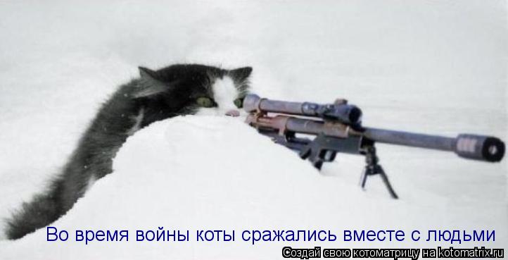 Во время войны коты сражались вместе с людьми... Котоматрица: Во время войны коты сражались вместе с людьми
