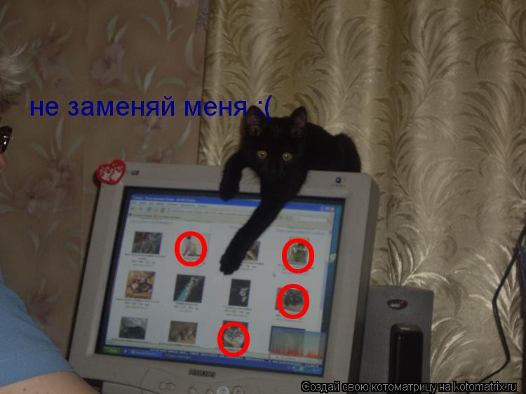 не заменяй меня :( O O O O... Котоматрица: не заменяй меня :( O O O O