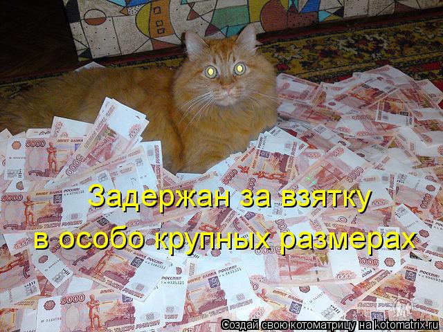 Задержан за взятку в особо крупных размерах... Котоматрица: Задержан за взятку в особо крупных размерах