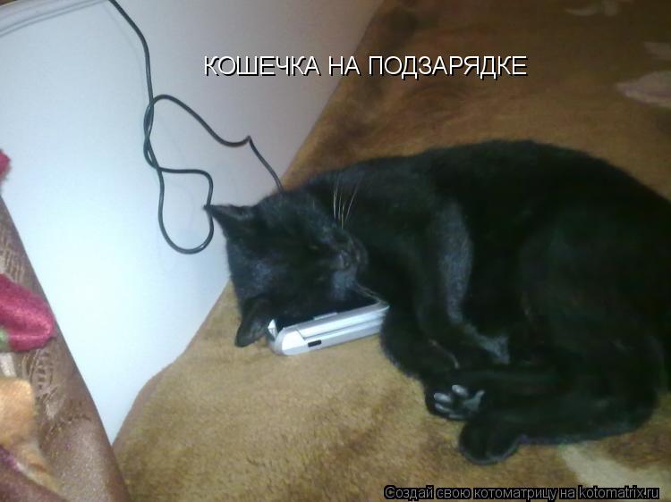 КОШЕЧКА НА ПОДЗАРЯДКЕ... Котоматрица: КОШЕЧКА НА ПОДЗАРЯДКЕ