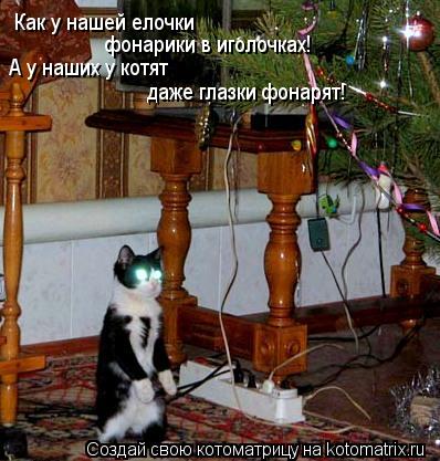 Как у нашей елочки фонарики в иголочках! А у наших у котят даже глазки фонарят!... Котоматрица: Как у нашей елочки фонарики в иголочках! А у наших у котят даже глазки фонарят!