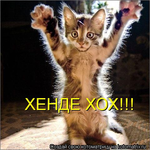 ХЕНДЕ ХОХ!!!... Котоматрица: ХЕНДЕ ХОХ!!!
