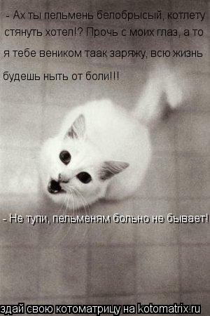 - Ах ты пельмень белобрысый, котлету стянуть хотел!? Прочь с моих глаз, а то я тебе веником таак заря... Котоматрица: - Ах ты пельмень белобрысый, котлету стянуть хотел!? Прочь с моих глаз, а то я тебе веником таак заряжу, всю жизнь будешь ныть от боли!!! - Не ту