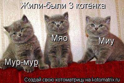 Жили-были 3 котёнка Мур-мур Мяо Миу... Котоматрица: Жили-были 3 котёнка Мур-мур Мяо Миу