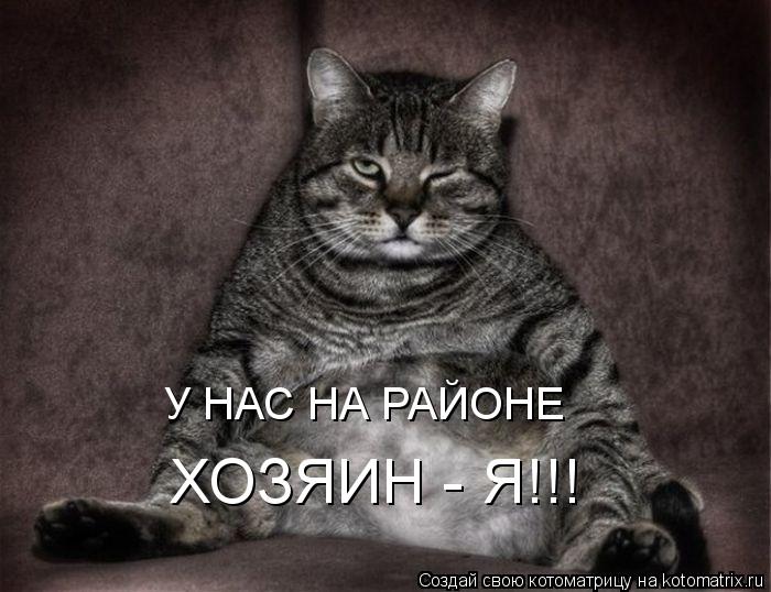 У НАС НА РАЙОНЕ ХОЗЯИН - Я!!!... Котоматрица: У НАС НА РАЙОНЕ ХОЗЯИН - Я!!!