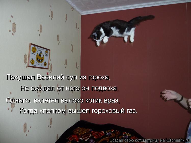 Покушал Василий суп из гороха, Не ожидал от него он подвоха. Однако, взлетел высоко котик враз, Когда... Котоматрица: Покушал Василий суп из гороха, Не ожидал от него он подвоха. Однако, взлетел высоко котик враз, Когда хлопком вышел гороховый газ.