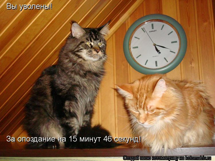 Вы уволены! За опоздание на 15 минут 46 секунд !... Котоматрица: Вы уволены! За опоздание на 15 минут 46 секунд !