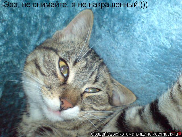 Котоматрица: -Эээ, не снимайте, я не накрашенный!)))