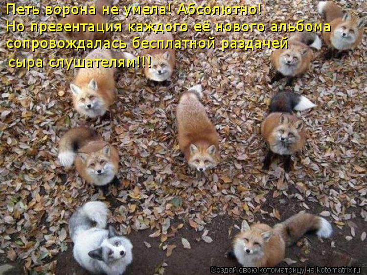 Петь ворона не умела! Абсолютно! Но презентация каждого её нового альбома сопровождалась бесплатной р... Котоматрица: Петь ворона не умела! Абсолютно! Но презентация каждого её нового альбома сопровождалась бесплатной раздачей сыра слушателям!!!