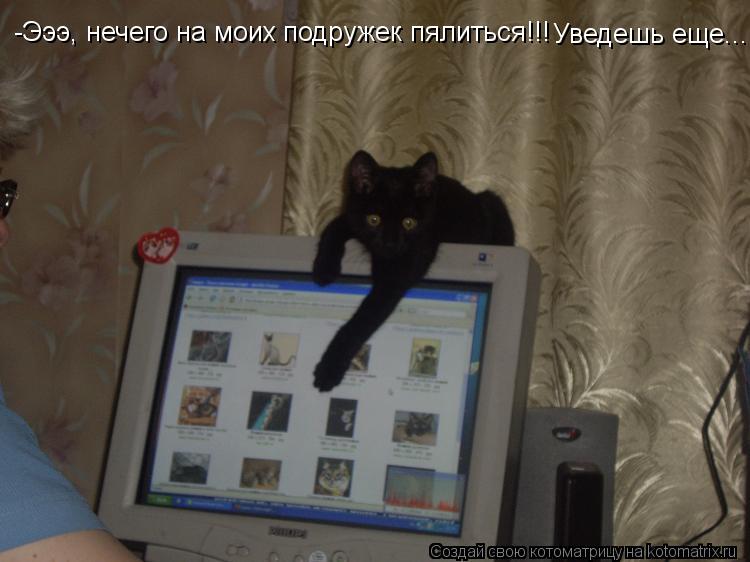 Котоматрица: -Эээ, нечего на моих подружек пялиться!!! Уведешь еще...