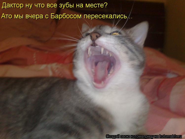 Дактор ну что все зубы на месте? Ато мы вчера с Барбосом пересекались...... Котоматрица: Дактор ну что все зубы на месте? Ато мы вчера с Барбосом пересекались...