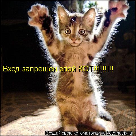 Вход запрешен злой КОТ!!!!!!!!!... Котоматрица: Вход запрешен злой КОТ!!!!!!!!!