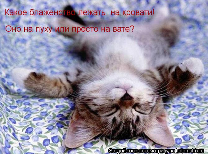 Какое блаженство лежать на кровати! Оно на пуху или просто на вате?... Котоматрица: Какое блаженство лежать на кровати! Оно на пуху или просто на вате?