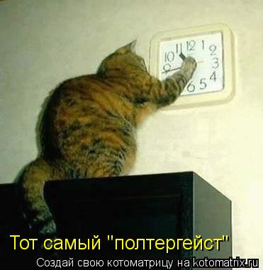 Тот самый "полтергейст"... Котоматрица: Тот самый "полтергейст"