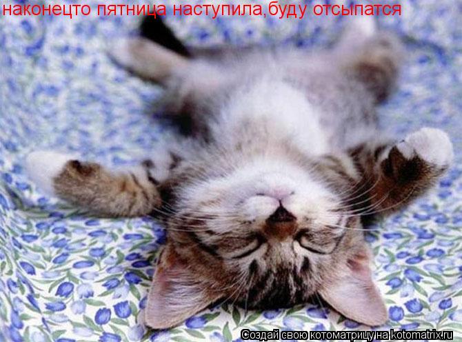 наконецто пятница наступила,буду отсыпатся... Котоматрица: наконецто пятница наступила,буду отсыпатся
