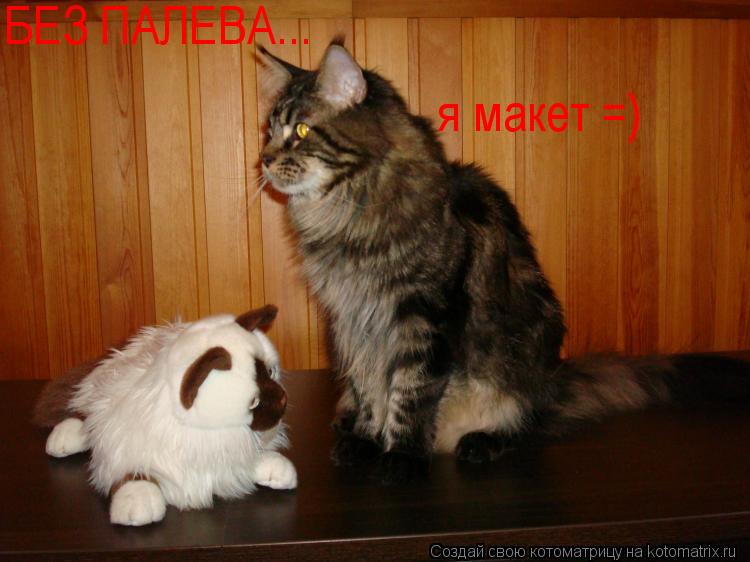 БЕЗ ПАЛЕВА... я макет =)... Котоматрица: БЕЗ ПАЛЕВА... я макет =)