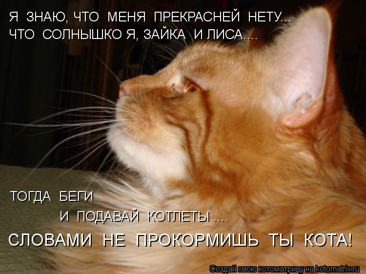 Я ЗНАЮ, ЧТО МЕНЯ ПРЕКРАСНЕЙ НЕТУ... ЧТО СОЛНЫШКО Я, ЗАЙКА И ЛИСА.... СЛОВАМИ НЕ ПРОКОРМИШЬ Т... Котоматрица: Я ЗНАЮ, ЧТО МЕНЯ ПРЕКРАСНЕЙ НЕТУ... ЧТО СОЛНЫШКО Я, ЗАЙКА И ЛИСА.... СЛОВАМИ НЕ ПРОКОРМИШЬ ТЫ КОТА! ТОГДА БЕГИ И ПОДАВАЙ КОТЛЕТЫ ....