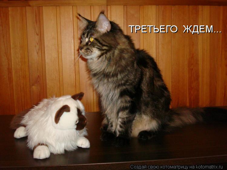 ТРЕТЬЕГО ЖДЕМ...... Котоматрица: ТРЕТЬЕГО ЖДЕМ...