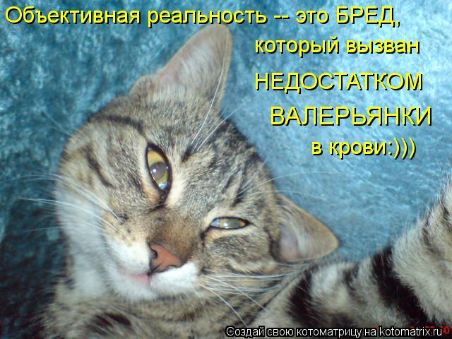 Объективная реальность -- это БРЕД, который вызван НЕДОСТАТКОМ в крови:))) ВАЛЕРЬЯНКИ... Котоматрица: Объективная реальность -- это БРЕД, который вызван НЕДОСТАТКОМ в крови:))) ВАЛЕРЬЯНКИ