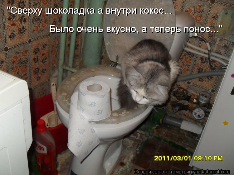 "Сверху шоколадка а внутри кокос... Было очень вкусно, а теперь понос..."... Котоматрица: "Сверху шоколадка а внутри кокос... Было очень вкусно, а теперь понос..."