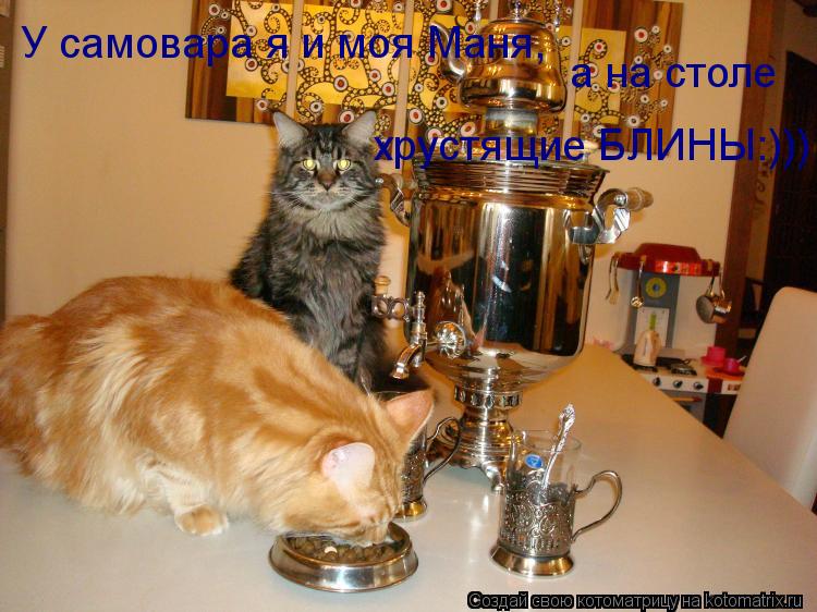 а на столе хрустящие БЛИНЫ:))) У самовара я и моя Маня,... Котоматрица: а на столе хрустящие БЛИНЫ:))) У самовара я и моя Маня,