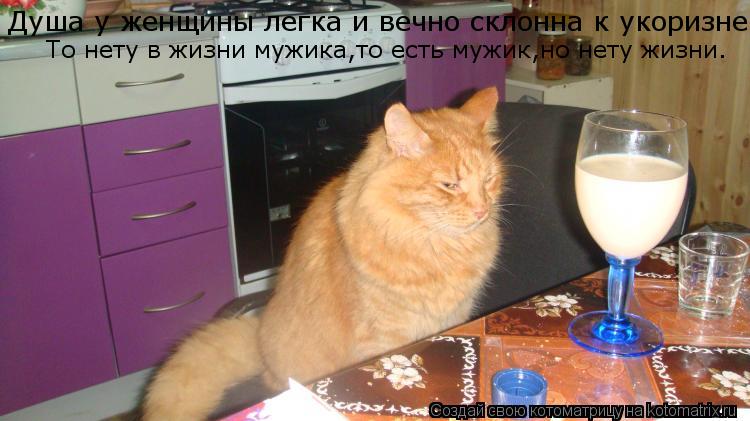 Душа у женщины легка и вечно склонна к укоризне То нету в жизни мужика,то есть мужик,но нету жизни.... Котоматрица: Душа у женщины легка и вечно склонна к укоризне То нету в жизни мужика,то есть мужик,но нету жизни.