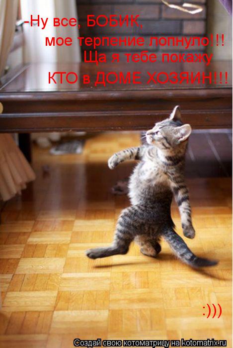 -Ну все, БОБИК, мое терпение лопнуло!!! Ща я тебе покажу КТО в ДОМЕ ХОЗЯИН!!! :)))... Котоматрица: -Ну все, БОБИК, мое терпение лопнуло!!! Ща я тебе покажу КТО в ДОМЕ ХОЗЯИН!!! :)))