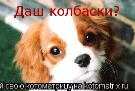 Даш колбаски?... Котоматрица: Даш колбаски?