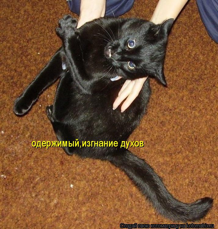 Котоматрица: одержимый,изгнание духов