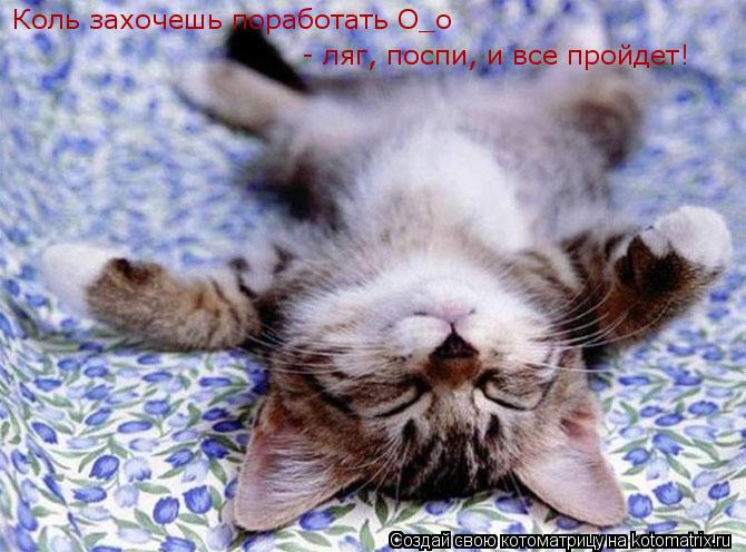 Коль захочешь поработать О_о - ляг, поспи, и все пройдет!... Котоматрица: Коль захочешь поработать О_о - ляг, поспи, и все пройдет!