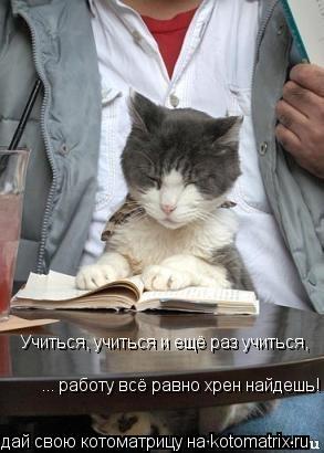 Учиться, учиться и ещё раз учиться, ... работу всё равно хрен найдешь!... Котоматрица: Учиться, учиться и ещё раз учиться, ... работу всё равно хрен найдешь!