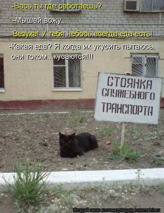 -Мышей вожу... -Везуха! У тебя,небось,всегда еда есть! -Вась,ты где работаешь? -Какая еда? Я когда их... Котоматрица: -Мышей вожу... -Везуха! У тебя,небось,всегда еда есть! -Вась,ты где работаешь? -Какая еда? Я когда их укусить пытаюсь, они током...кусаются!!!