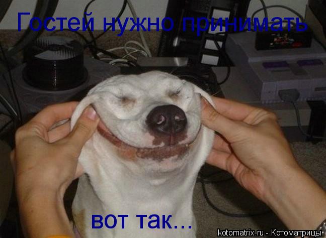 Гостей нужно принимать вот так...... Котоматрица: Гостей нужно принимать вот так...