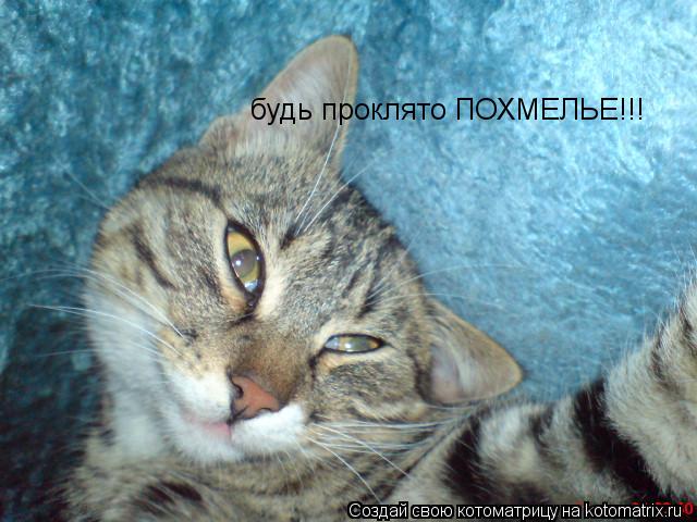 будь проклято ПОХМЕЛЬЕ!!!... Котоматрица: будь проклято ПОХМЕЛЬЕ!!!