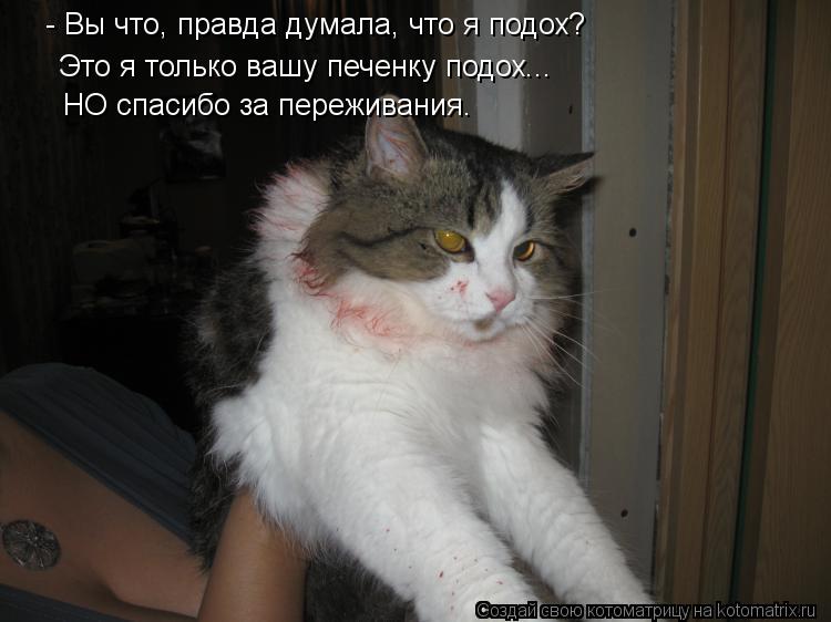 - Вы что, правда думала, что я подох? Это я только вашу печенку подох... НО спасибо за переживания.... Котоматрица: - Вы что, правда думала, что я подох? Это я только вашу печенку подох... НО спасибо за переживания.