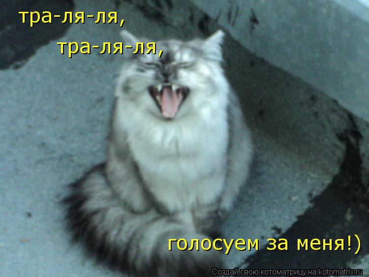 тра-ля-ля, тра-ля-ля, голосуем за меня!)... Котоматрица: тра-ля-ля, тра-ля-ля, голосуем за меня!)