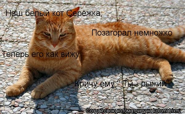 Наш белый кот Серёжка, Позагорал немножко Теперь его как вижу Кричу ему:" Ты - рыжий"... Котоматрица: Наш белый кот Серёжка, Позагорал немножко Теперь его как вижу Кричу ему:" Ты - рыжий"