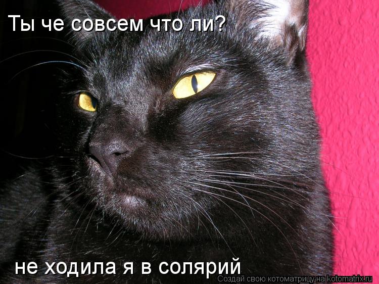 Ты че совсем что ли? не ходила я в солярий... Котоматрица: Ты че совсем что ли? не ходила я в солярий