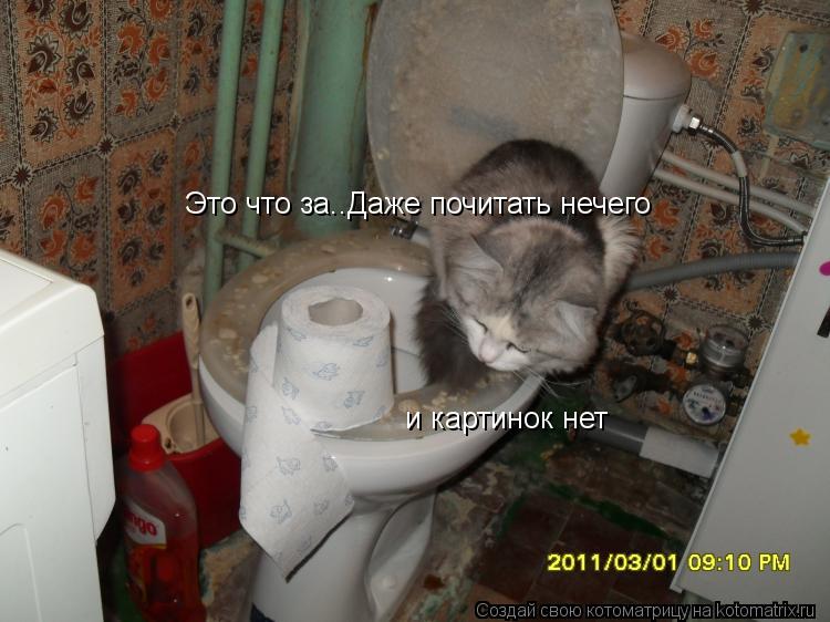 Это что за..Даже почитать нечего и картинок нет... Котоматрица: Это что за..Даже почитать нечего и картинок нет
