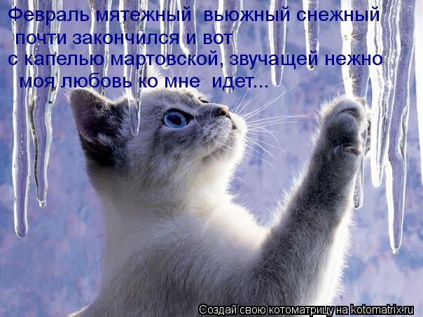 Февраль мятежный вьюжный снежный почти закончился и вот с капелью мартовской, звучащей нежно моя л... Котоматрица: Февраль мятежный вьюжный снежный почти закончился и вот с капелью мартовской, звучащей нежно моя любовь ко мне идет...