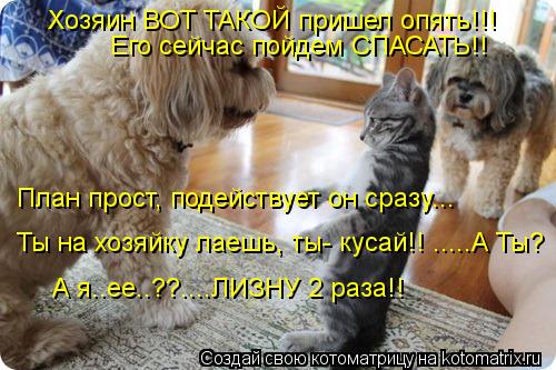 Его сейчас пойдем СПАСАТЬ!! Хозяин ВОТ ТАКОЙ пришел опять!!! План прост, подействует он сразу... Ты н... Котоматрица: Его сейчас пойдем СПАСАТЬ!! Хозяин ВОТ ТАКОЙ пришел опять!!! План прост, подействует он сразу... Ты на хозяйку лаешь, ты- кусай!! .....А Ты? А я..ее.
