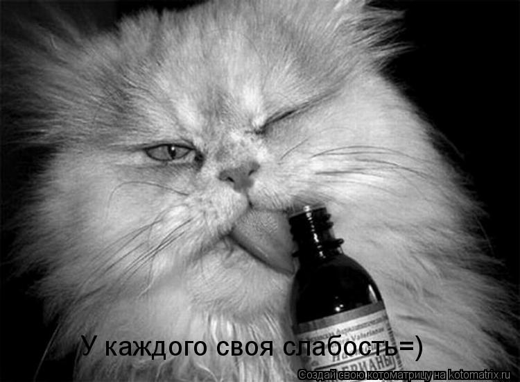 Котоматрица: У каждого своя слабость=)